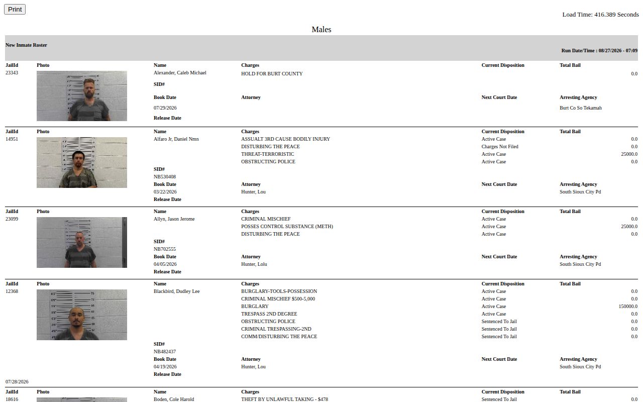 Dakota County jail roster search interface for current custody records